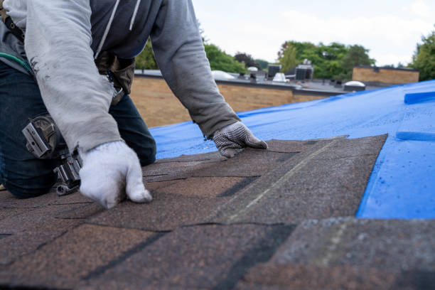 Best Roof Repair Services  in Red Bud, IL
