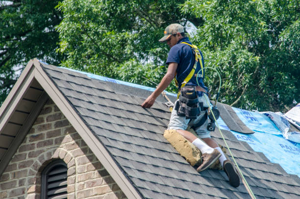 Best Roof Maintenance Services  in Red Bud, IL